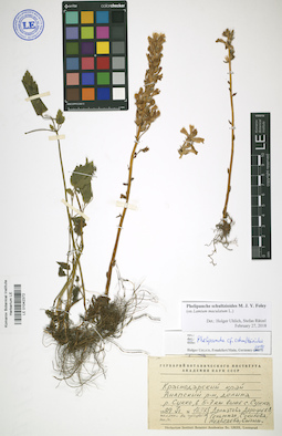 LE 01042372