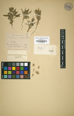 LE 01042918