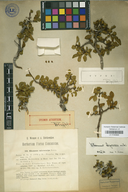 LE 01042930