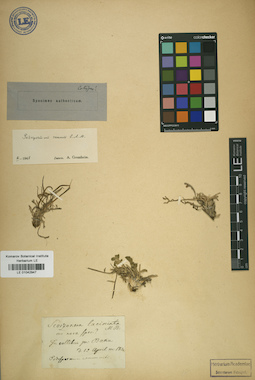 LE 01042947