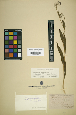 LE 01042956