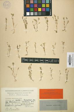 LE 01042957