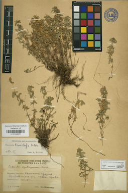 LE 01042972
