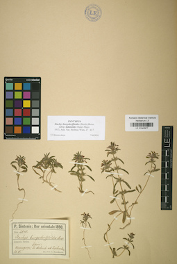 LE 01042977