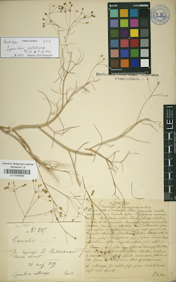 LE 01043594