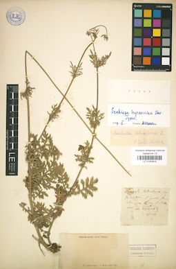 LE 01043816
