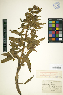 LE 01043837