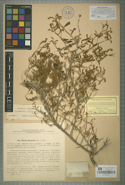 LE 01044733