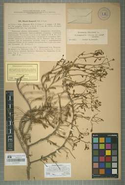 LE 01044734