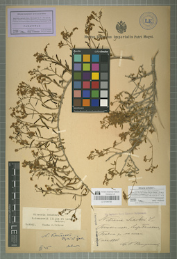 LE 01044738
