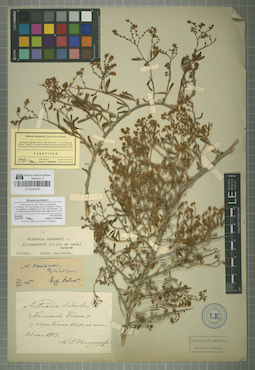 LE 01044739