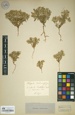 LE 01051374