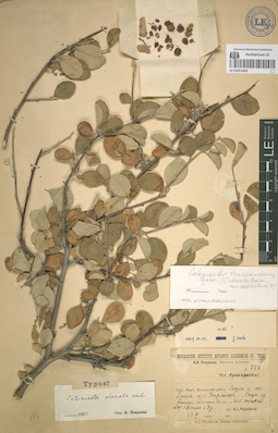 LE 01051802