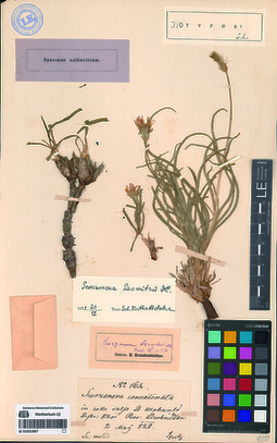 LE 01051867