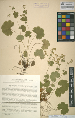 LE 01051911