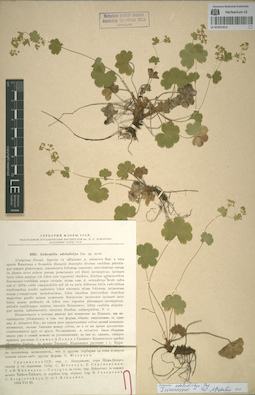 LE 01051912