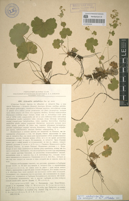LE 01051914