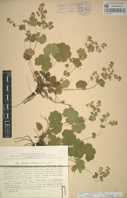 LE 01051915