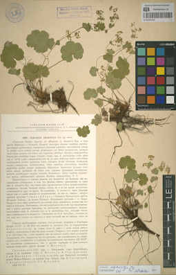 LE 01051916