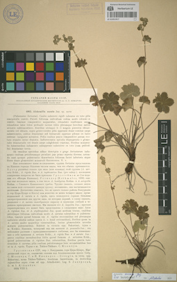LE 01051917