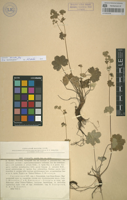 LE 01051918