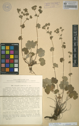 LE 01051919