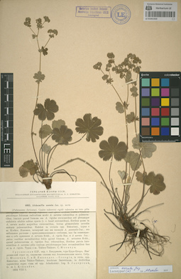 LE 01051920