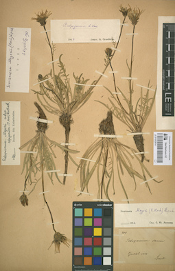 LE 01053014