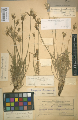 LE 01053017