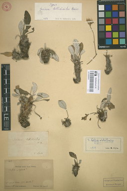 LE 01053018