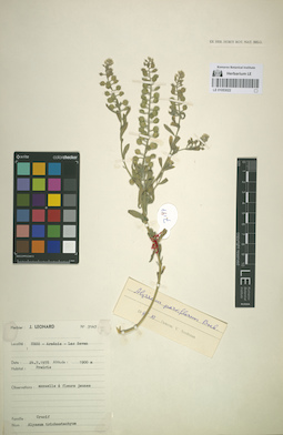 LE 01053022