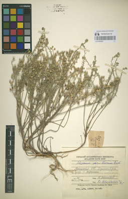 LE 01053023