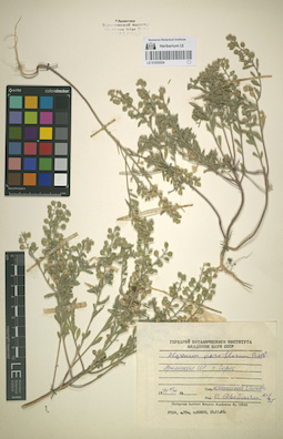 LE 01053024