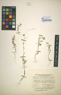 LE 01053025