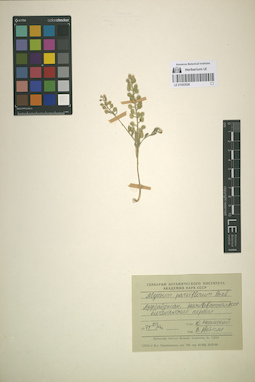 LE 01053026