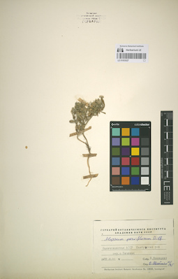 LE 01053027