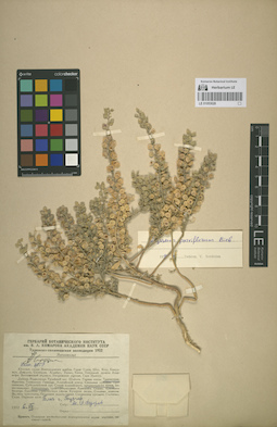 LE 01053028