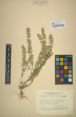 LE 01053029