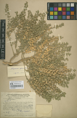 LE 01053030