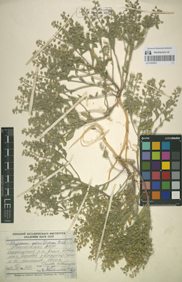 LE 01053031