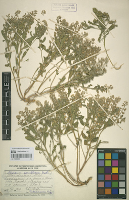 LE 01053032