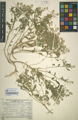 LE 01053033