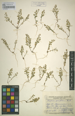 LE 01053034