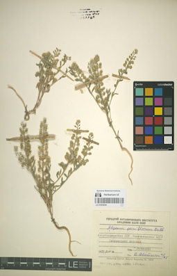 LE 01053036