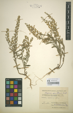 LE 01053037