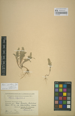 LE 01053038