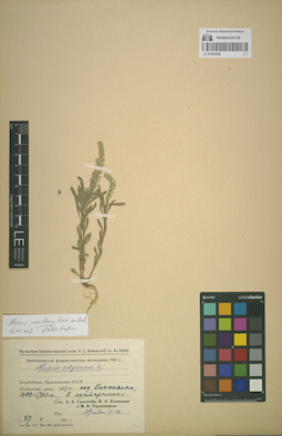 LE 01053039