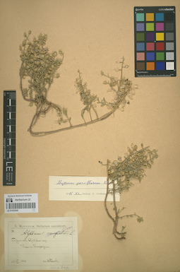 LE 01053040