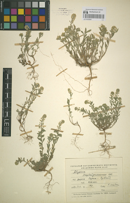 LE 01053041