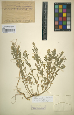 LE 01053042